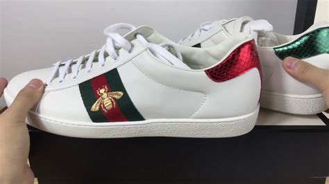 gucci ace youtube